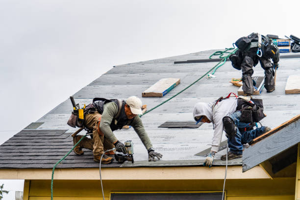 Professional Gutter Installation technician working in Brayton, IA